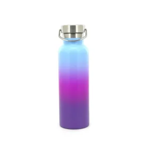 12512d-6 Botella Termica Trendy 500 ML (12512)
