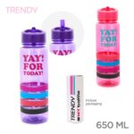 13962 Botella Trendy 650 ML (13962)