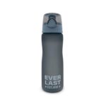 15261i5 Botella Everlast 650 ML (15261)