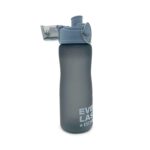 15261i6 Botella Everlast 650 ML (15261)