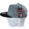 Gorra Snapback Visera Plana Gris