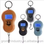 Balanza riñon hasta 50 kg (BAL-01)