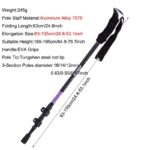 Bastón de trekking aluminio ajuste rapido 135cm (BTX-5-1)