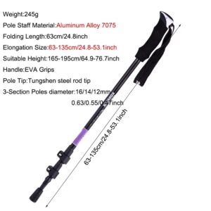 Bastón de trekking aluminio ajuste rapido 135cm (BTX-5-1)