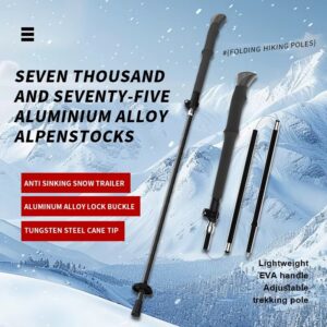 BTX 5-2 9 Baston de trekking soulide desmontable aluminio 135cm (BTX-5-2)