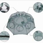 Trampa para mojarras plegable 6 bocas color verde (TRA-11-02)