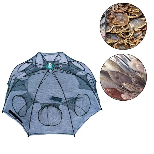 Trampa para mojarras plegable 6 bocas color verde (TRA-11-02)