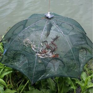 Trampa para mojarras plegable 4 bocas color verde (TRA-11-01)
