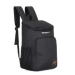 descarga (3) Mochila Cooler Discovery (17488)