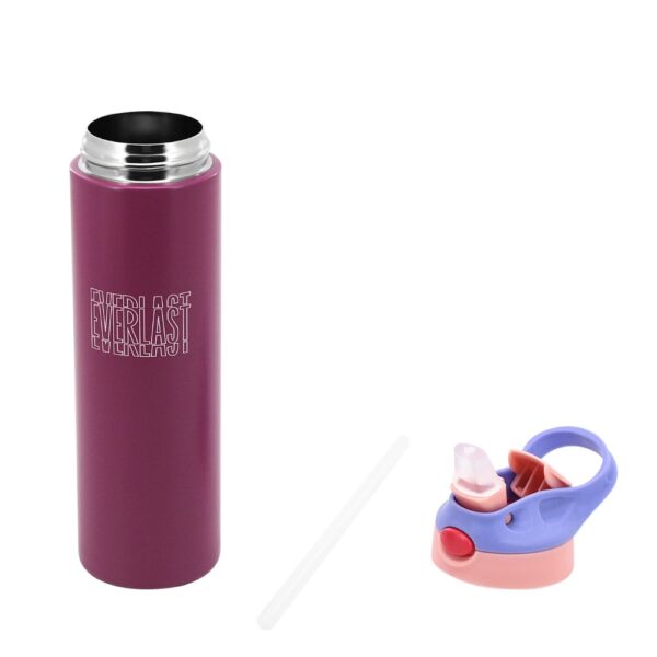 Botella Termica Everlast 600 ML (18479)