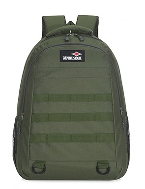 descarga.1.1 Mochila Alpine Skate (17748)