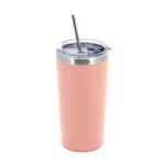 Vaso Termico Discovery con Bombilla 600 Ml (18495)