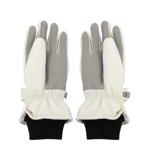 descarga (2) Guante Alpine Skate (31268) Ingreso 02/04/26