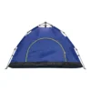 Carpa Discovery (17877)