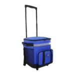 Canasta con Carro Discovery (30434)