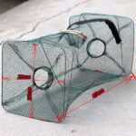Trampa para mojarras plegable 2 bocas color verde (TRA-11-00)