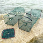 Trampa para mojarras plegable 2 bocas color verde (TRA-11-00)
